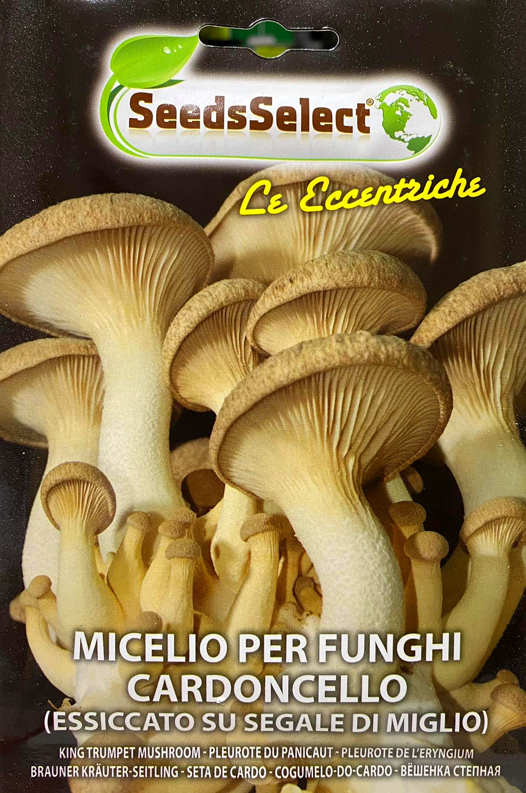 Micelio Funghi Cardoncello
