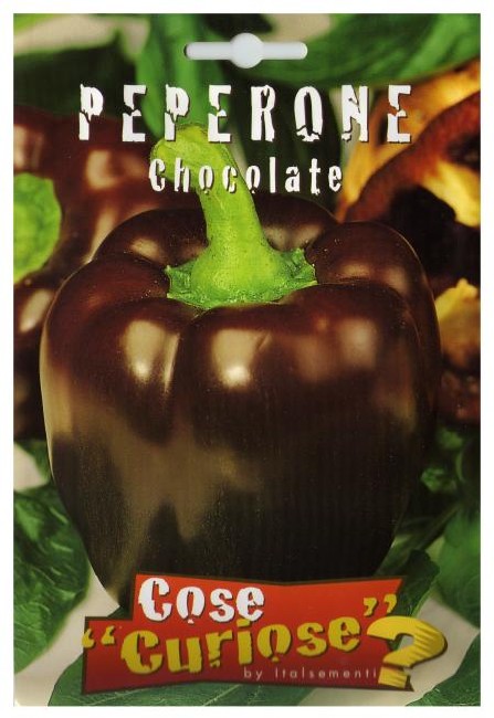 PEPERONE " Chocolate "