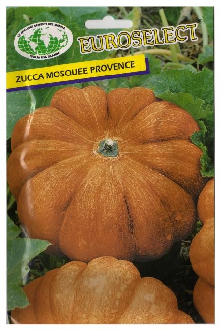ZUCCA Mosquee Provence
